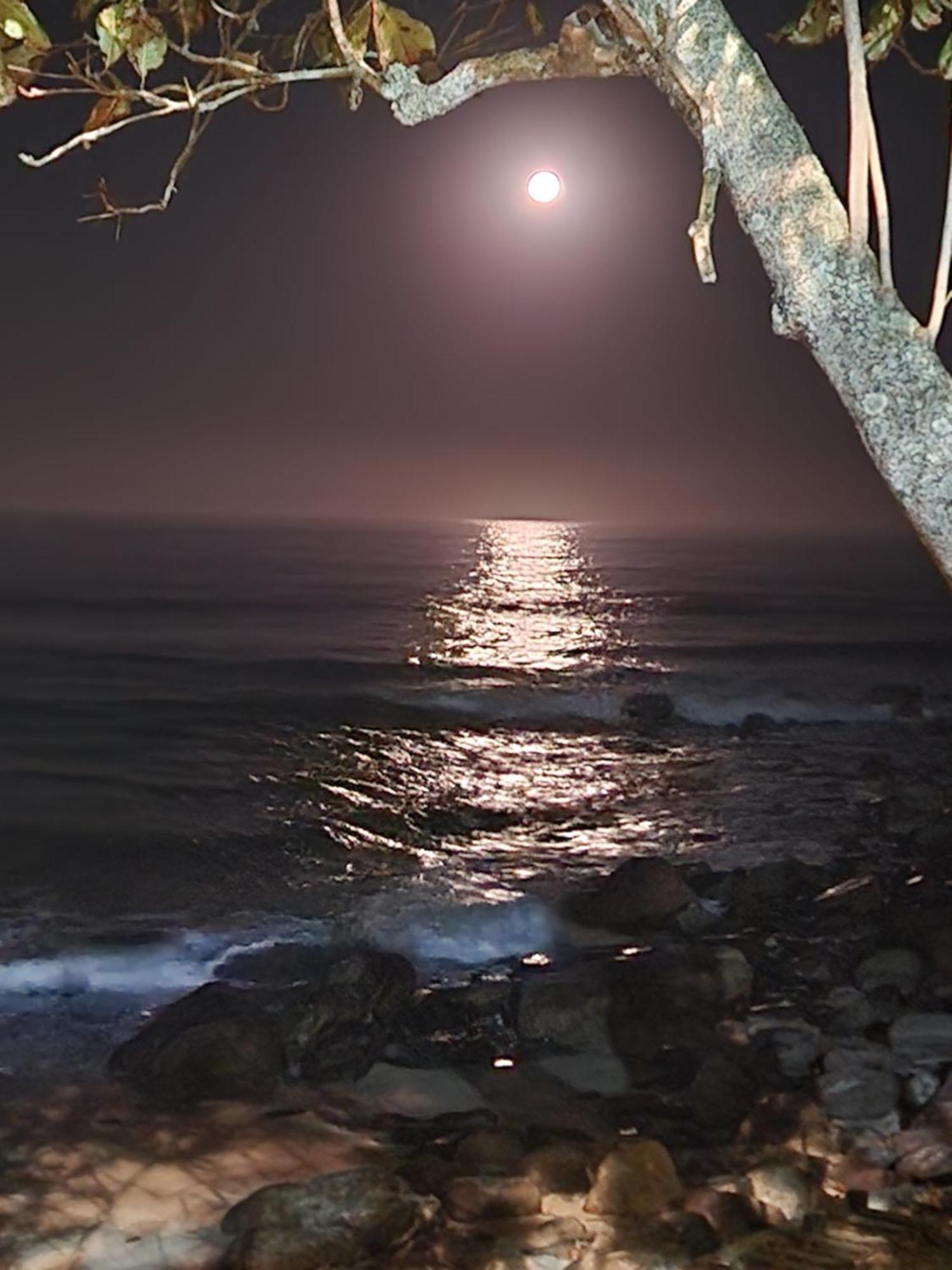 شقة Ap Pe Na Areia Florianópolis المظهر الخارجي الصورة